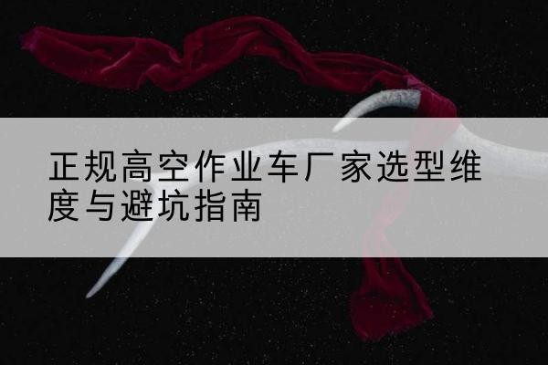 乃东高空作业车厂家-正规选型维度与避坑指南