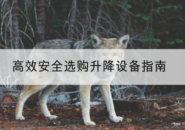 乃东升降货梯厂家推荐-*安全选购升降设备指南