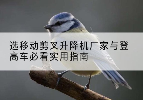 乃东电动升降机厂家-选移动剪叉升降机厂家与登高车必看实用指南