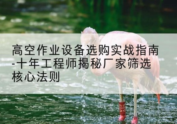 乃东剪叉式升降机厂家-高空作业设备选购实战指南-十年工程师揭秘厂家筛选核心法则